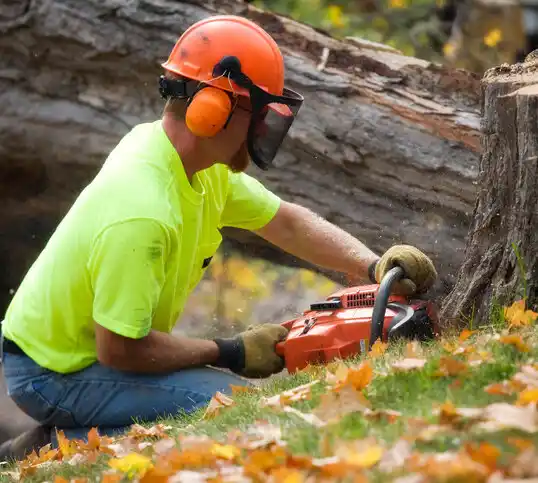 tree services Vicksburg